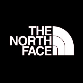 the northface logo 1